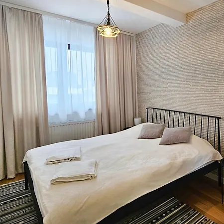 公寓 Cozy Mountain Vidik 科帕奥尼克