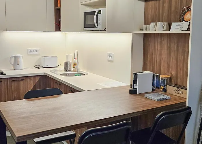 公寓 Cozy Mountain Vidik *