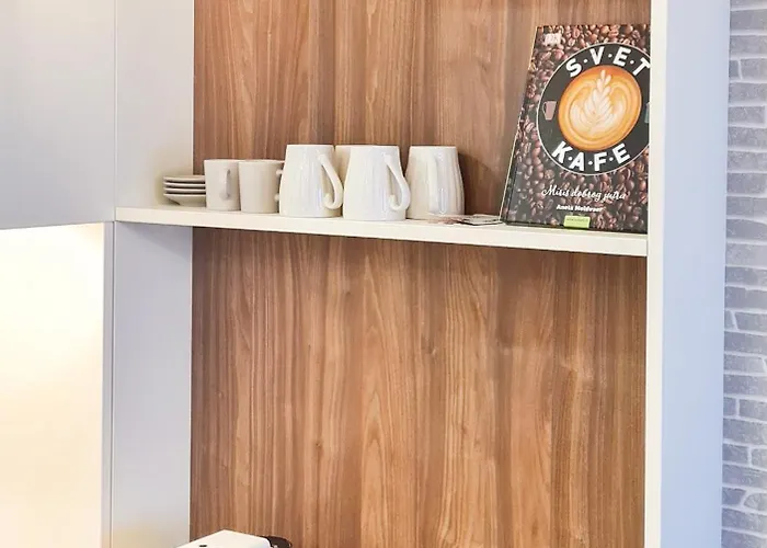 公寓 Cozy Mountain Vidik